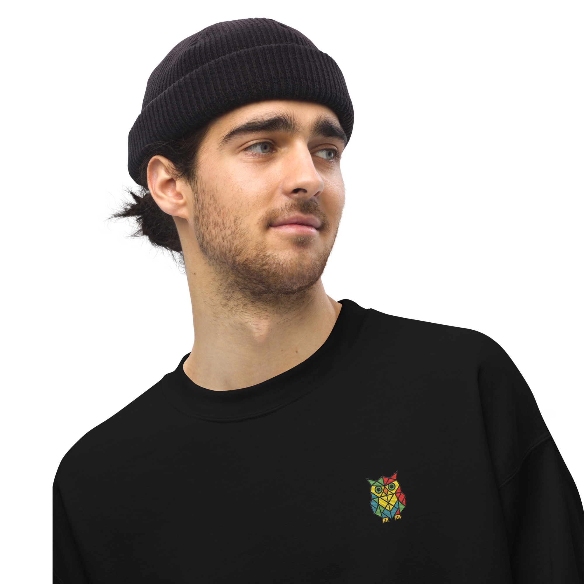 Owl Embroidered Sweatshirt - Unisex