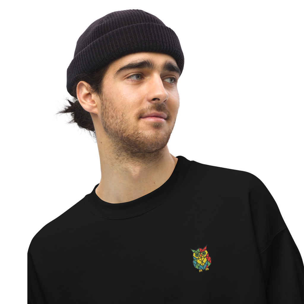 Owl Embroidered Sweatshirt - Unisex